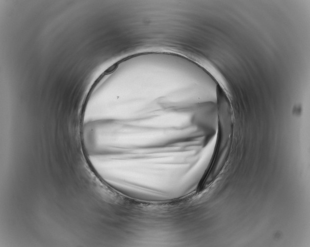 X0000089941004200707271814