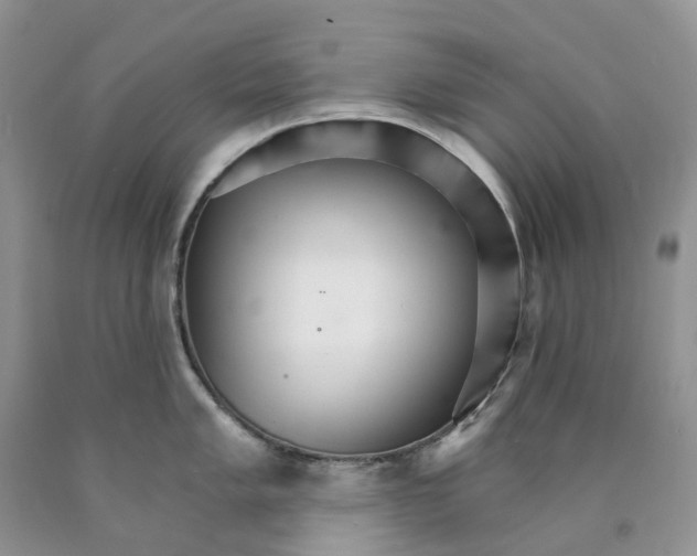 X0000089941005200707271814