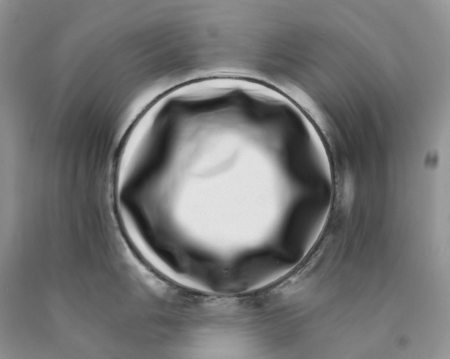 X0000089941006200707271814