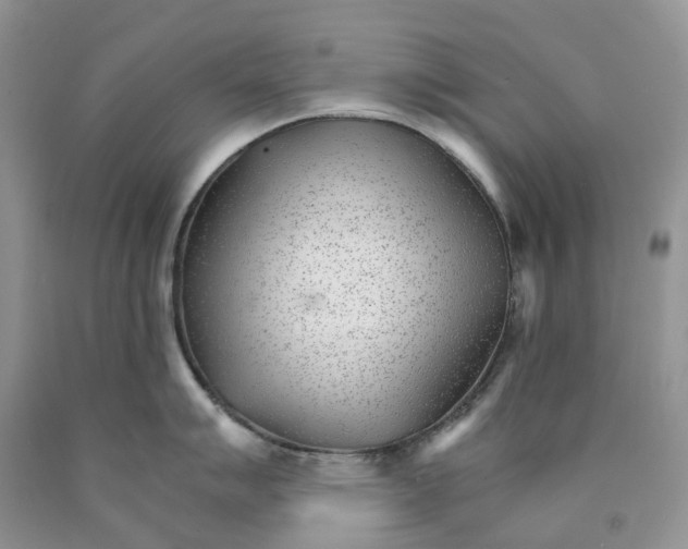 X0000089941007200707271814
