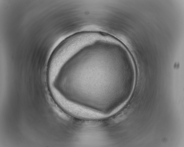 X0000089941008200707271814