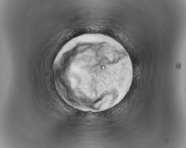X0000089941009200707271814