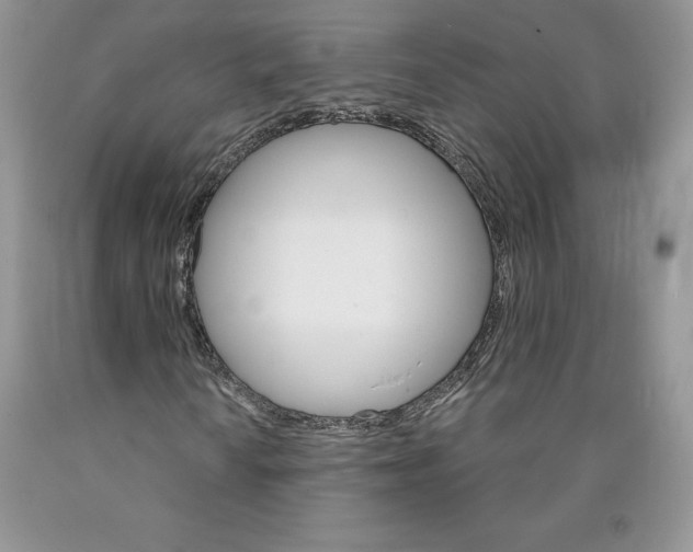 X0000089941010200707271814
