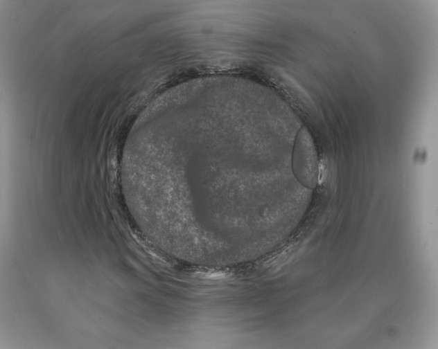 X0000089941011200707271814