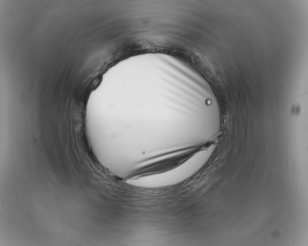 X0000089941012200707271814