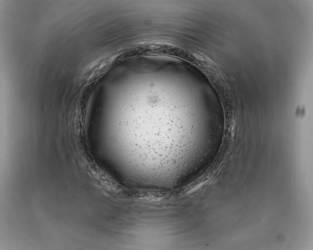 X0000089941014200707271814