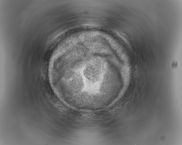 X0000089941015200707271814