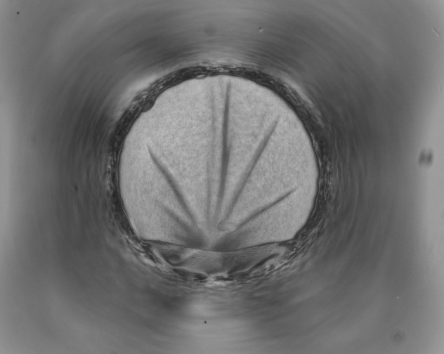 X0000089941016200707271814