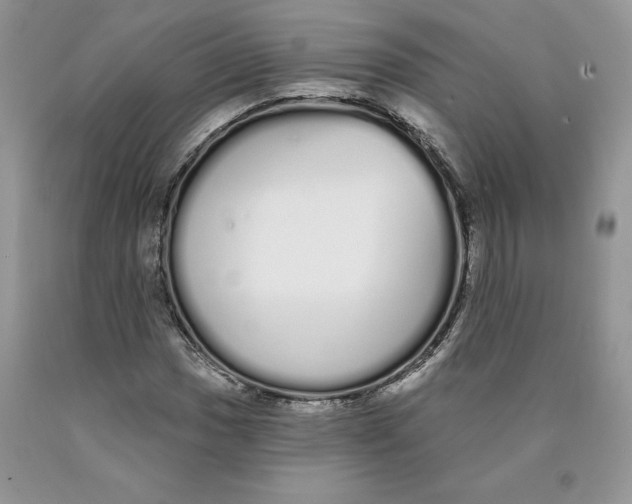 X0000089941017200707271814