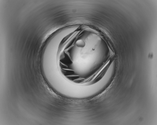 X0000089941018200707271814