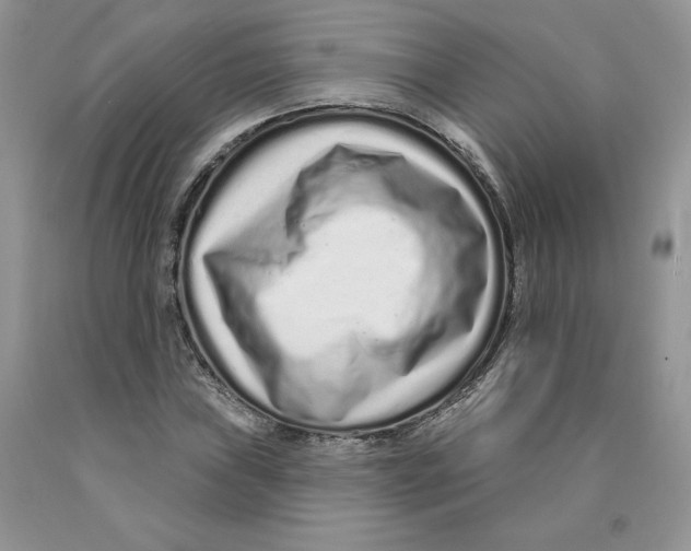 X0000089941019200707271814