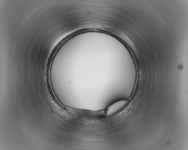X0000089941020200707271814