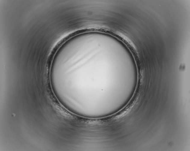 X0000089941021200707271814