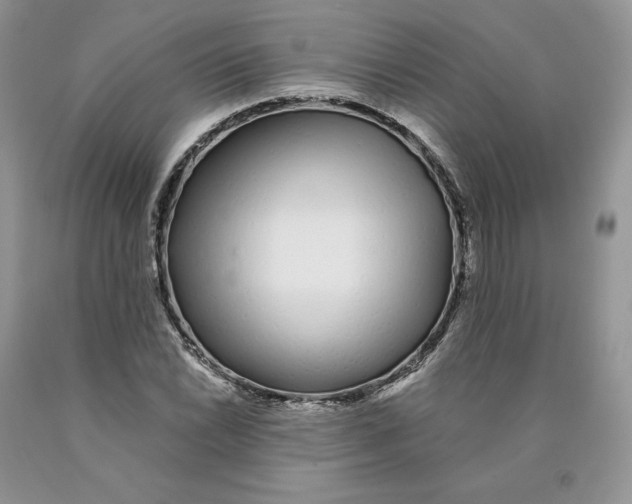 X0000089941022200707271814