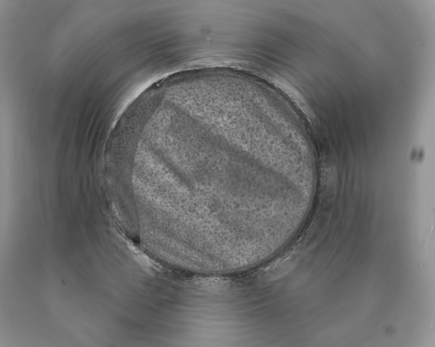 X0000089941023200707271814