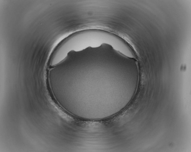 X0000089941024200707271814