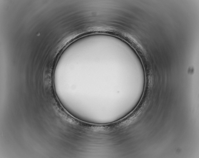 X0000089941025200707271814