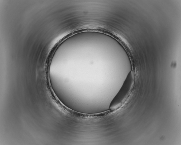 X0000089941026200707271814