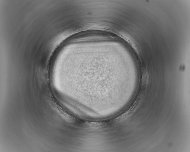 X0000089941027200707271814