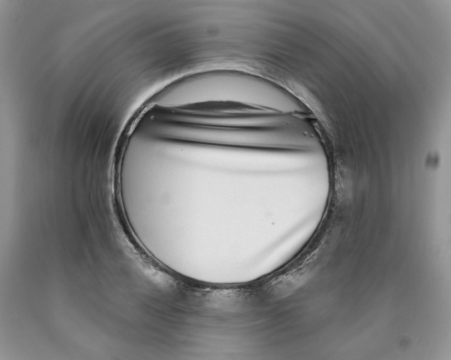 X0000089941028200707271814