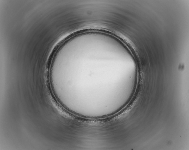 X0000089941029200707271814