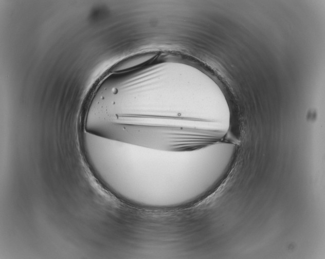X0000089941030200707271814