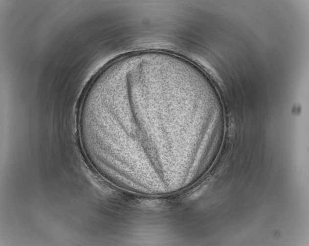 X0000089941031200707271814