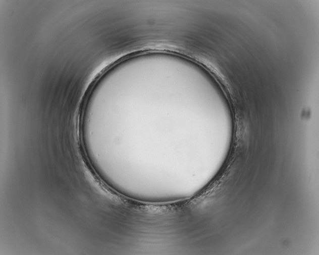 X0000089941032200707271814