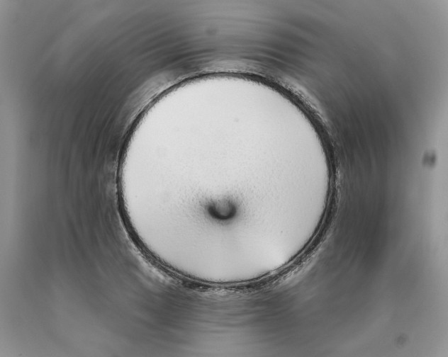 X0000089941033200707271814