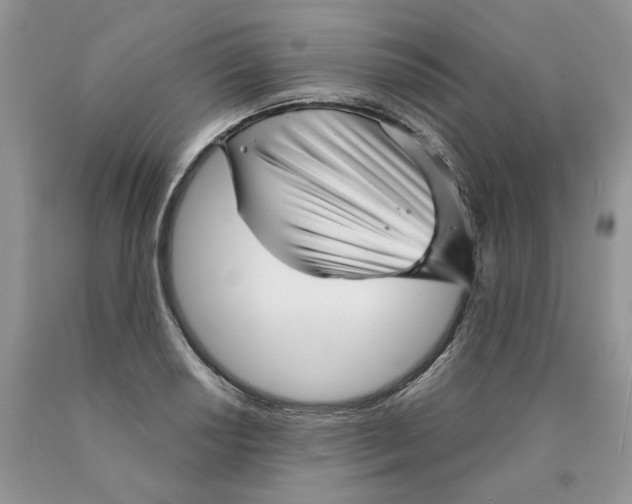 X0000089941034200707271814