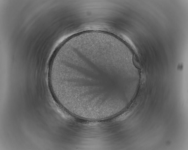 X0000089941035200707271814