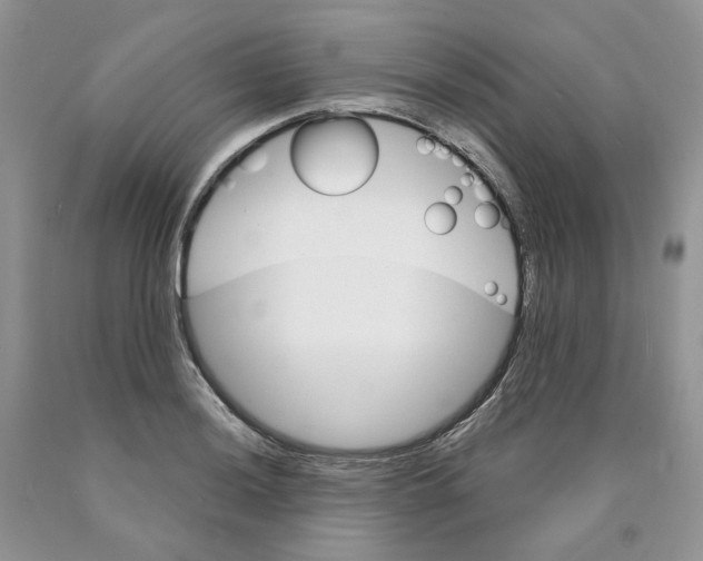 X0000089941036200707271814