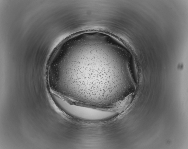 X0000089941038200707271814