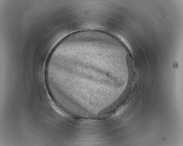 X0000089941039200707271814