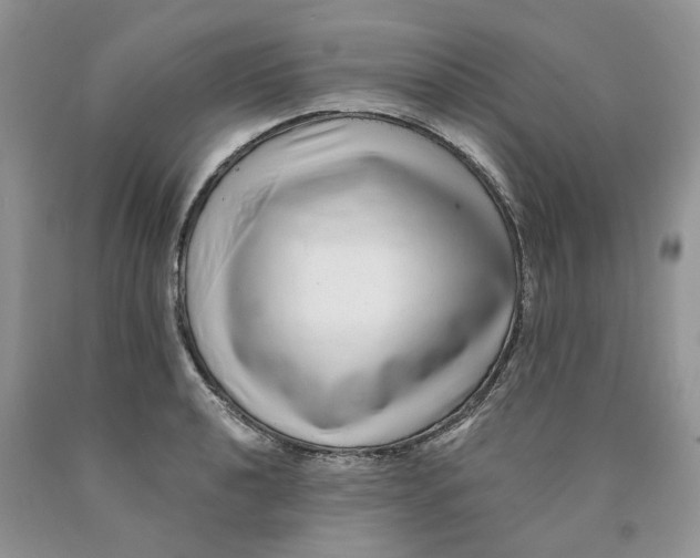 X0000089941040200707271814