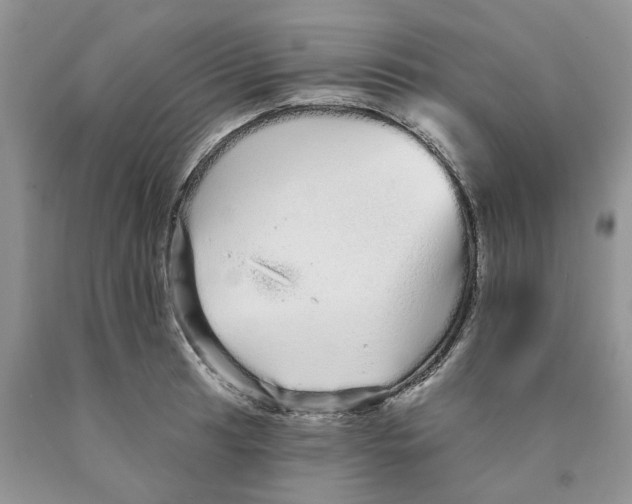 X0000089941041200707271814