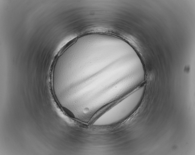 X0000089941042200707271814