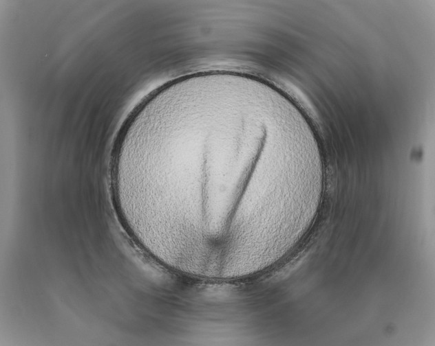 X0000089941043200707271814