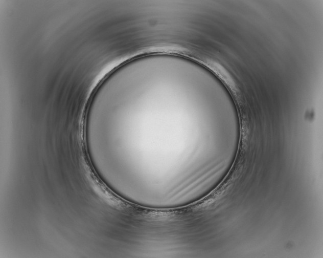 X0000089941044200707271814