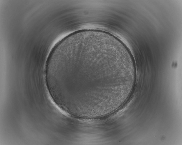 X0000089941045200707271814