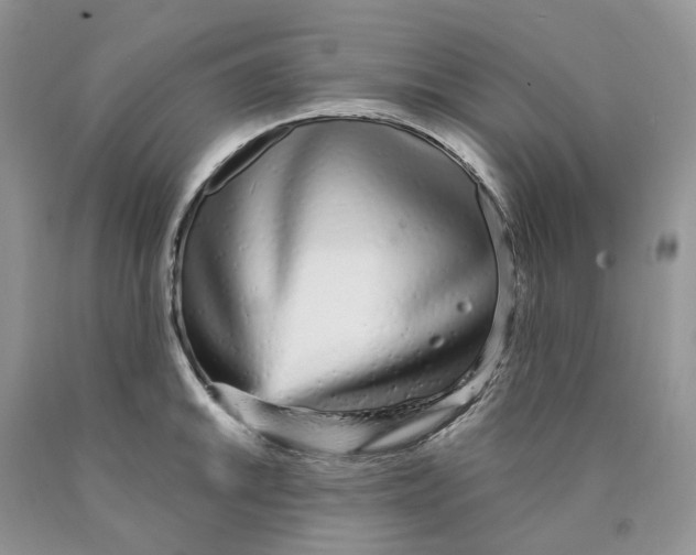 X0000089941046200707271814