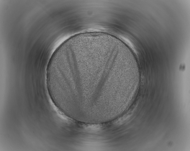 X0000089941047200707271814