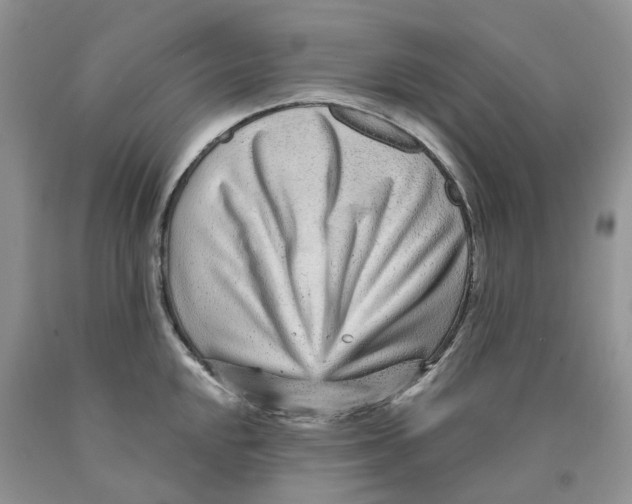 X0000089941048200707271814