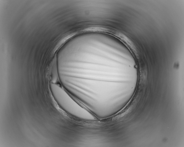 X0000089941049200707271814