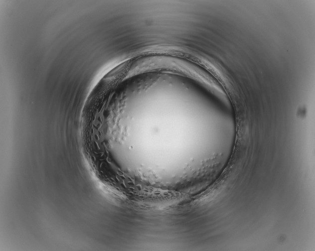 X0000089941050200707271814