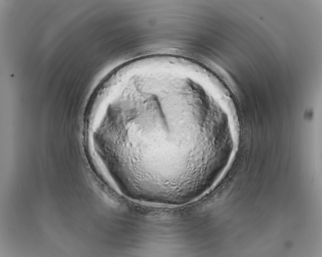 X0000089941051200707271814