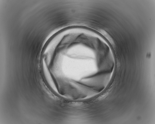 X0000089941052200707271814