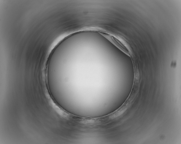 X0000089941054200707271814