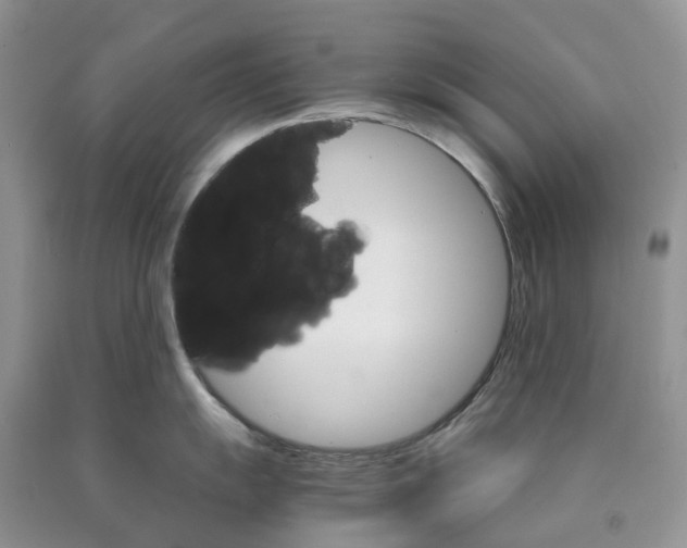X0000089941055200707271814