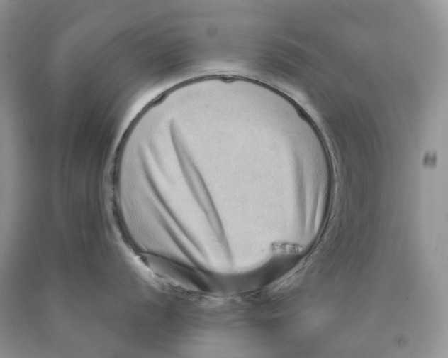X0000089941056200707271814